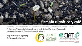 Cambio climático y café
Encuentro “Productividad, un compromiso de todos”, Medellín 23 de octubre 2012
A. Eitzinger, P. Laderach, A. Jarvis, C. Navarro, O. Ovalle, J Ramirez, J. Tabasco, C.
Navarette, M. Baca, A. Quiroga, C. Bunn, T. Leibig, …

http://dapa.ciat.cgiar.org
A.Eitzinger@cgiar.org
 