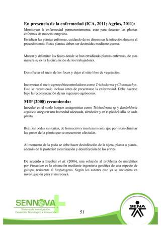 51
En presencia de la enfermedad (ICA, 2011; Agrios, 2011):
Monitorear la enfermedad permanentemente, esto para detectar las plantas
enfermas de manera temprana.
Erradicar las plantas enfermas, cuidando de no diseminar la infección durante el
procedimiento. Estas plantas deben ser destruidas mediante quema.
Marcar y delimitar los focos donde se han erradicado plantas enfermas, de esta
manera se evita la circulación de los trabajadores.
Desinfectar el suelo de los focos y dejar el sitio libre de vegetación.
Incorporar al suelo agentes biocontroladores como Trichoderma y Clonostachys.
Esto se recomiendo incluso antes de presentarse la enfermedad. Debe hacerse
bajo la recomendación de un ingeniero agrónomo.
MIP (2008) recomienda:
Inocular en el suelo hongos antagonistas como Trichoderma sp y Burkolderia
cepacea, asegurar una humedad adecuada, alrededor y en el pie del tallo de cada
planta.
Realizar podas sanitarias, de formación y mantenimiento, que permitan eliminar
las partes de la planta que se encuentren afectadas.
Al momento de la poda se debe hacer desinfección de la tijera, planta a planta,
además de la posterior cicatrización y desinfección de los cortes.
De acuerdo a Escobar et al. (2006), una solución al problema de marchitez
por Fusarium es la obtención mediante ingeniería genética de una especie de
gulupa, resistente al fitopatogeno. Según los autores esto ya se encuentra en
investigación para el maracuyá.
 