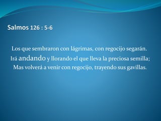 Los que sembraron con lágrimas, con regocijo segarán.
Irá andando y llorando el que lleva la preciosa semilla;
Mas volverá a venir con regocijo, trayendo sus gavillas.
 