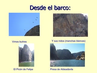 Desde el barco: Vimos buitres Y sus nidos (manchas blancas) El Picón de Felipe Presa de Aldeadávila 