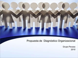 Propuesta de  DiagnósticoOrganizacional Grupo Pecasa 2010 