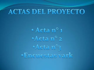 ACTAS DEL PROYECTO ,[object Object]
