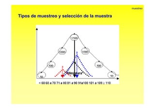 Tipos de muestreo y selección de la muestra 
muestreo 
 
