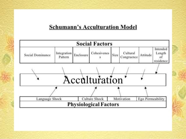 Acculturation Master Thesis Samples - Write an MBA Dissertation on Acculturation Dissertation Stats