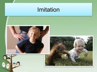 Imitation
 