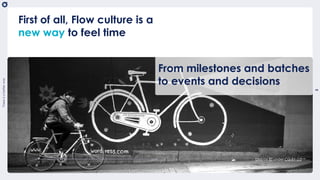 Flow culture | PDF