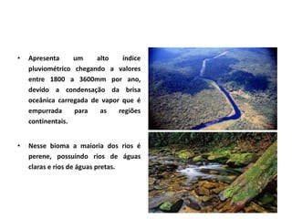 7 biomas brasileiros