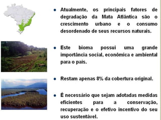 7 biomas brasileiros
