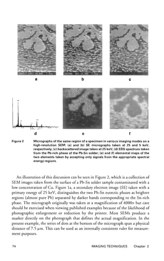 Micrograph Caption Examples Encyclopedia of materials characterization | PDF