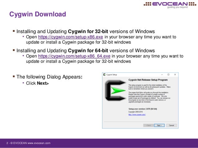 Cygwin