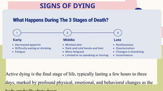 Comprehensive End of Life Care: Nursing Strategies and Ethical ...
