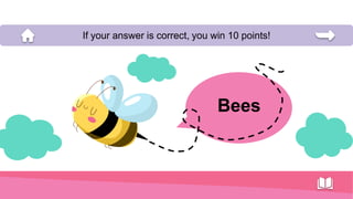 Bees
If your answer is correct, you win 10 points!
 