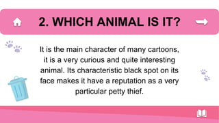 It is the main character of many cartoons,
it is a very curious and quite interesting
animal. Its characteristic black spot on its
face makes it have a reputation as a very
particular petty thief.
2. WHICH ANIMAL IS IT?
 