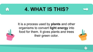 4. WHAT IS THIS?
It is a process used by plants and other
organisms to convert light energy into
food for them. It gives plants and trees
their green color.
 
