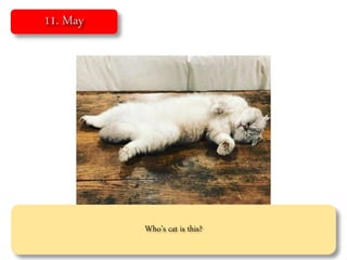 Who’s cat is this?
 
