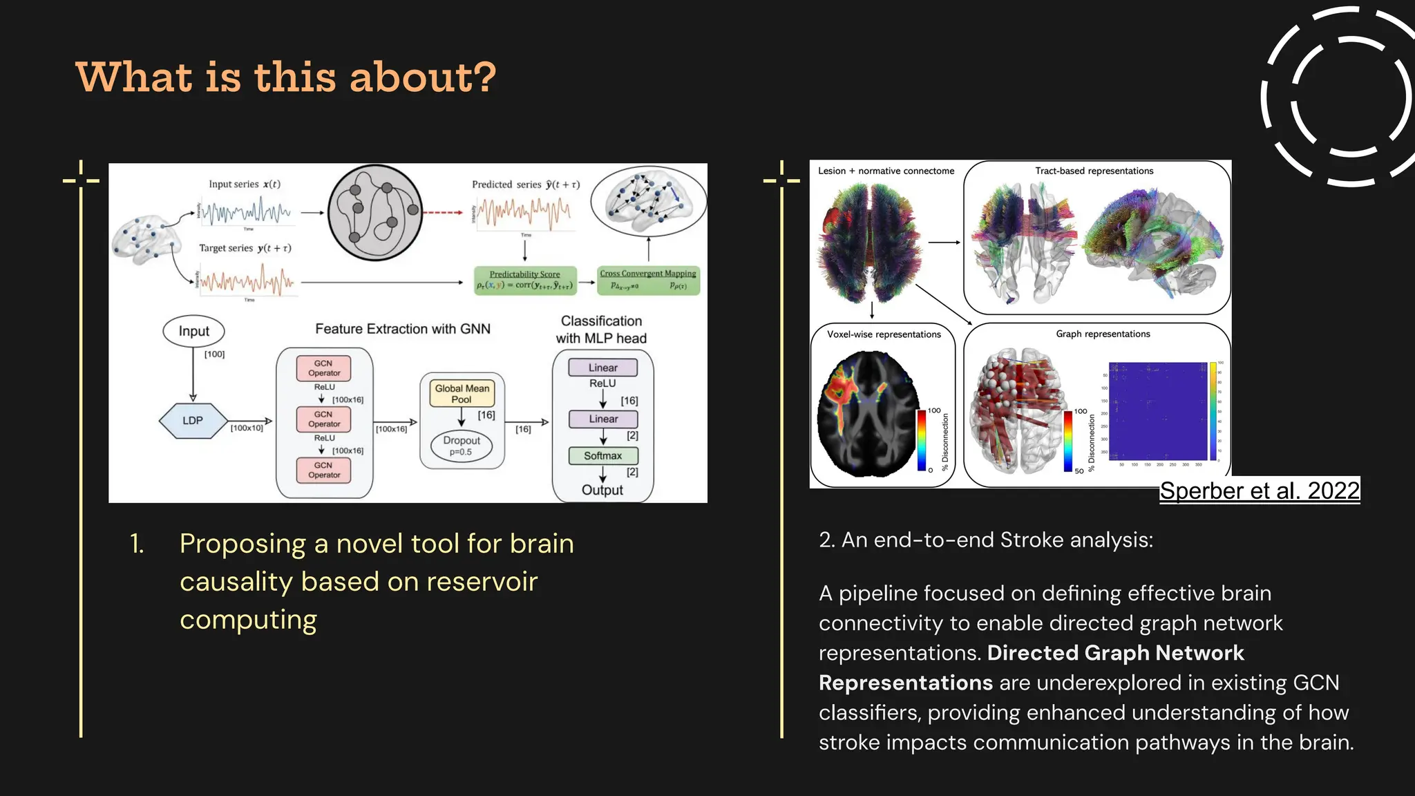 End-to-End Stroke Imaging Analysis Using Effective Connectivity and ...