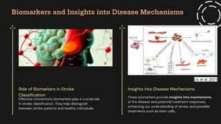 End-to-End Stroke Imaging Analysis Using Effective Connectivity and ...