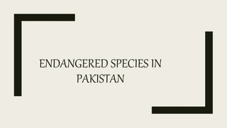 ENDANGERED SPECIES IN
PAKISTAN
 