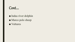 Cont….
■ Indus river dolphin
■ Marco polo sheep
■ Vultures
 
