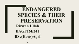 ENDANGERED
SPECIES & THEIR
PRESERVATION
Rizwan Ullah
BAGF16E241
BSc(Hons)Agri
.
 