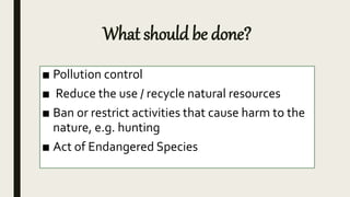What should be done?
■ Pollution control
■ Reduce the use / recycle natural resources
■ Ban or restrict activities that cause harm to the
nature, e.g. hunting
■ Act of Endangered Species
 