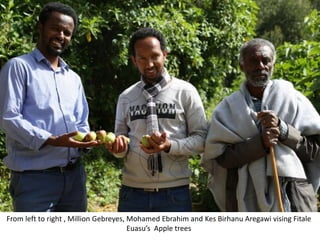 Africa RISING Project Key Partners Meeting and Field Visit to Intervention Areas, Maychew, Tigray, 13-14 May 2018