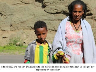 Africa RISING Project Key Partners Meeting and Field Visit to Intervention Areas, Maychew, Tigray, 13-14 May 2018