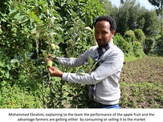 Africa RISING Project Key Partners Meeting and Field Visit to Intervention Areas, Maychew, Tigray, 13-14 May 2018