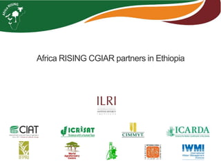 Africa RISING Project Key Partners Meeting and Field Visit to Intervention Areas, Maychew, Tigray, 13-14 May 2018