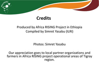 Africa RISING Project Key Partners Meeting and Field Visit to Intervention Areas, Maychew, Tigray, 13-14 May 2018