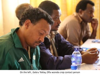 Africa RISING Project Key Partners Meeting and Field Visit to Intervention Areas, Maychew, Tigray, 13-14 May 2018