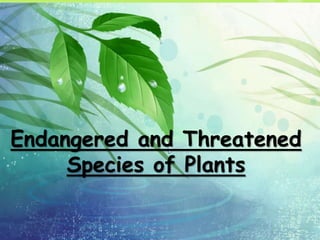 Endangered and Threatened
Species of Plants
 