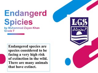 Endangered species are
species considered to be
facing a very high risk
of extinction in the wild.
There are many animals
that have extinct.
 