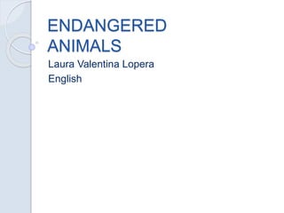 ENDANGERED
ANIMALS
Laura Valentina Lopera
English
 