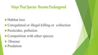 WaysThatSpecies BecomeEndangered
Habitat loss
Unregulated or illegal killing or collection
Pesticides, pollution
Competition with other species
 Disease
Predation
 