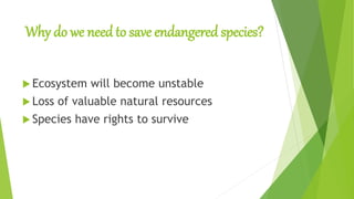 Why do we need to save endangered species?
 Ecosystem will become unstable
 Loss of valuable natural resources
 Species have rights to survive
 