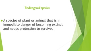 Endangered species
A species of plant or animal that is in
immediate danger of becoming extinct
and needs protection to survive.
 