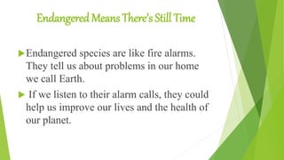 Endangered Means There’s Still Time
Endangered species are like fire alarms.
They tell us about problems in our home
we call Earth.
 If we listen to their alarm calls, they could
help us improve our lives and the health of
our planet.
 