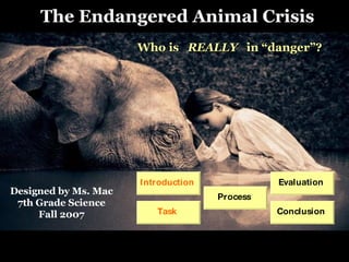 Process Who is  REALLY  in “danger”? The Endangered Animal Crisis Designed by Ms. Mac 7th Grade Science Fall 2007 Introduction Evaluation Task Conclusion 