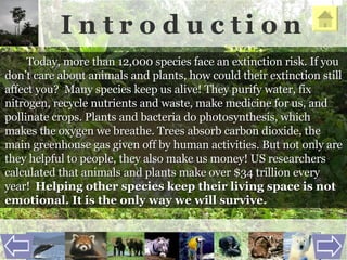I n t r o d u c t i o n Today, more than 12,000 species face an extinction risk. If you don’t care about animals and plants, how could their extinction still affect you?  Many species keep us alive! They purify water, fix nitrogen, recycle nutrients and waste, make medicine for us, and pollinate crops. Plants and bacteria do photosynthesis, which makes the oxygen we breathe. Trees absorb carbon dioxide, the main greenhouse gas given off by human activities. But not only are they helpful to people, they also make us money! US researchers calculated that animals and plants make over $34 trillion every year!  Helping other species keep their living space is not emotional. It is the only way we will survive.   