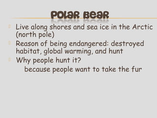 



Live along shores and sea ice in the Arctic
(north pole)
Reason of being endangered: destroyed
habitat, global warming, and hunt
Why people hunt it?
because people want to take the fur

 