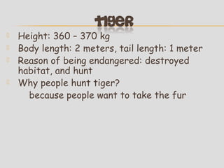 




Height: 360 – 370 kg
Body length: 2 meters, tail length: 1 meter
Reason of being endangered: destroyed
habitat, and hunt
Why people hunt tiger?
because people want to take the fur

 