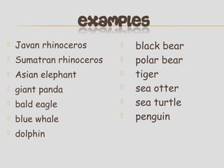 

Javan rhinoceros





Sumatran rhinoceros





Asian elephant





giant panda





bald eagle





blue whale





dolphin

black bear
polar bear
tiger
sea otter
sea turtle
penguin

 