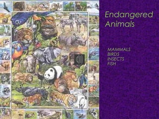 Endangered
Animals
MAMMALS
BIRDS
INSECTS
FISH
 