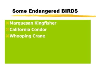 Some Endangered BIRDS

Marquesan Kingfisher
California Condor
Whooping Crane
 