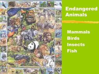 Endangered
Animals


Mammals
Birds
Insects
Fish
 