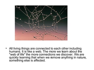 All living things are connected to each other including humans. It is like a web. The more we learn about the "web of life" the more connections we discover. We are quickly learning that when we remove anything in nature, something else is affected.  