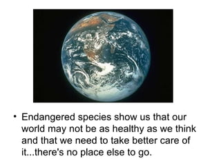 Endangered species show us that our world may not be as healthy as we think and that we need to take better care of it...there's no place else to go.  
