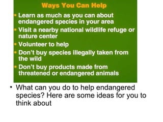 What can you do to help endangered species? Here are some ideas for you to think about  