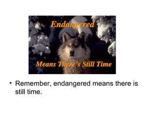 Remember, endangered means there is still time.  